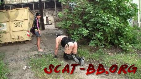 Scatting Domination 56 (Leatherdyke) 31 May 2018 [HD 720p] 273 MB