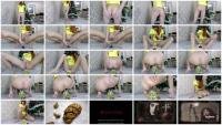 Sexy Pee And Poo (Marcos579) 7 May 2020 [FullHD 1080p] 888 MB
