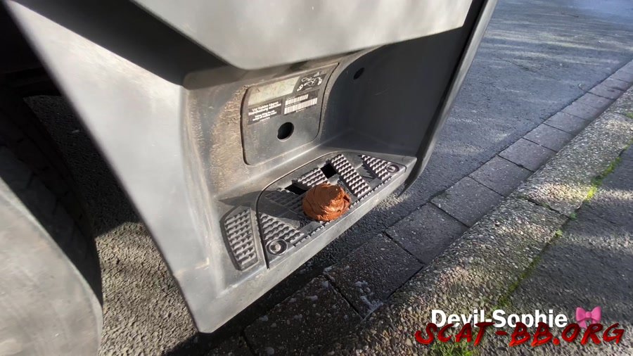 OMG - how does the shit get onto the truck running board (Devil Sophie) 6 May 2022 [UltraHD 4K] 338 MB