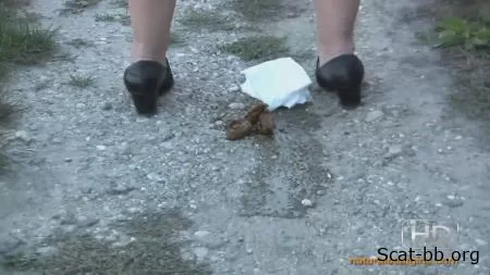 The woman sat down and took a shit on the street (OutdoorScat) 27 April 2024 [HD 720p] 149 MB