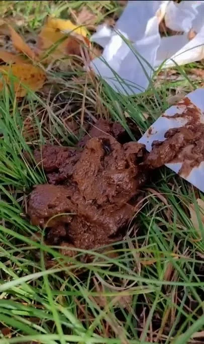 I eat someone elses shit in the woods (Scatlina) 12 April 2025 [SD] 115.43 MB