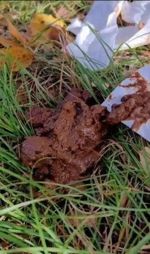 I eat someone elses shit in the woods (Scatlina) 12 April 2025 [SD] 115.43 MB