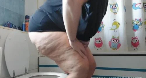 one wc, two asses (Lady Phoenix) 29 April 2025 [HD 720p] 78.68 MB