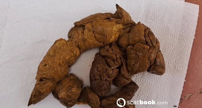 Une kg de merde qui en veux (Goddess Madrina) 23 May 2025 [Eat Shit, FullHD 1080p]