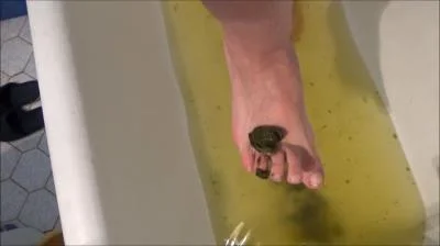 Preview of Poop And Enema (Mistress Roberta) 17 June 2025 [SD] 382 MB