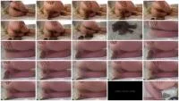 Shit Birth (Lady Tsunam) 31 Jule 2025 [FullHD 1080p] 681 MB