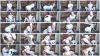 Dirty Baby Girl (Spankmepink aka Tilly Farts) 28 Jule 2025 [FullHD 1080p] 182 MB