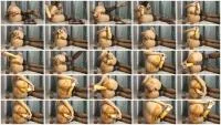 So horny dildo anal with a lot of Shit (Helena Moeller) 9 Jule 2025 [FullHD 1080p] 257 MB