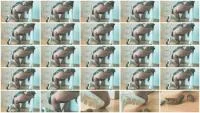 White Heels (Mia Skye aka MiaRoxxx) 2 Jule 2025 [HD 720p] 6.70 MB