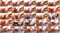 Pregnant Dirty Slut Allura Makes a Mess Part 2 (Allura) 8 August 2025 [FullHD 1080p] 1.06 GB