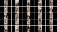 Lloves to lick poop off the floor (SamiScat) 13 September 2025 [HD 720p] 1.59 GB