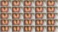 Shitting Girl 93 (Filthy Skye) 29 September 2025 [HD 720p] 858 KiB