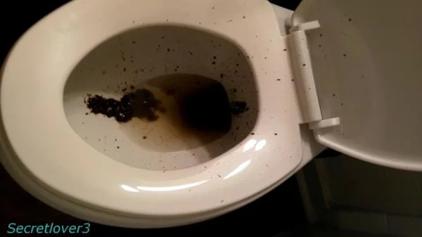 Toilet Spray (Sorsha aka Secretlover3) 6 October 2025 [FullHD 1080p] 568 MB