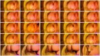 Romantic Sunset Shit In a Bag (XO Bunny) 21 October 2025 [HD 720p] 20.8 MB
