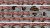 Night Scat (Lady Tsunam) 3 October 2025 [HD 720p] 85.8 MB