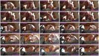 Anal Leakage 2 (Sexy Flatulence) 13 November 2025 [FullHD 1080p] 258 MB