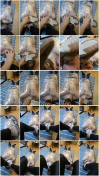 Pies Darkfans (Miss Lith) 26 November 2025 [SD] 106 MB
