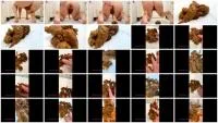 Doggy Dump - Treasure Hunt (Layla Lee) 13 November 2025 [FullHD 1080p] 873 MB