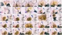 Catching it for you (KnkyKttn97) 14 December 2025 [FullHD 1080p] 1.33 GB
