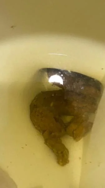 Shitting On The Bathroom Floor At Work (Brownsensations) 21 December 2025 [SD] 347 MB