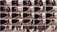 Toy for Mistress (Mistress Jardena) 12 December 2025 [HD 720p] 85.2 MB