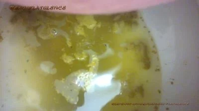 Diarrhea In The Toilet (Sexy Flatulence) 2 December 2025 [FullHD 1080p] 365 MB