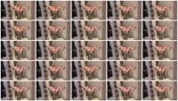 Scat and Pissing (Siswet) 3 December 2025 [SD] 1.11 MB
