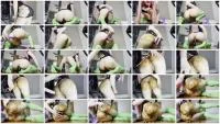Pee And DATM (KnkyKttn97) 23 December 2025 [FullHD 1080p] 1.31 GB