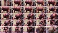 Shit For BDSM And Fetish Lovers 56 (IWantMystique) 18 December 2025 [HD 720p] 40.7 MB