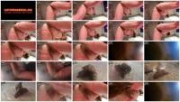 Shit On Your Face (Lady Tsunam) 18 January 2026 [FullHD 1080p] 500 MB