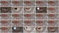 MI PEQUENO Y ASUSTADO WC HUMANO MY SCARED LITTLE HUMAN TOILET (Miss Lith) 20 January 2026 [HD 720p] 48.4 MB