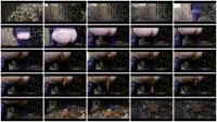 Neighbor\'s Fence (Mia Skye aka MiaRoxxx) 27 January 2026 [HD 720p] 11.2 MB