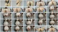 Play Ass Dirty 3 (Sweet Tinqerbell) 24 January 2026 [FullHD 1080p] 203 MB