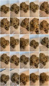 TAKE A LOOK (Ella Dearest aka Efro Ella) 29 January 2026 [SD] 67.5 MB