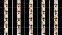 Poop Piss and Feet Smearing (Feet, Solo) 12 February 2026 [FullHD 1080p] 650 MB