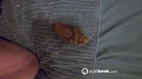 Missionary HUGE Poop (Germany, Dirty Anal) 10 February 2026 [UltraHD/4K] 640 MB