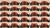 Quick SHIT (Austria, Milf) 13 February 2026 [FullHD 1080p] 25.6 MB