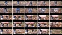 A Rainy Day (Germany, Dirty Anal) 20 February 2026 [HD 720p] 23.2 MB