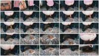 Farmers Barn (Germany, Dirty Anal) 22 February 2026 [HD 720p] 8.60 MB