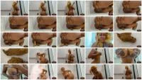 Shit For BDSM And Fetish Lovers 7 (IWantMystique) 3 February 2026 [FullHD 1080p] 78.1 MB