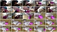 Shiteater for pervert Mistress (Kaviar, Humiliation) 9 February 2026 [HD 720p] 45.8 MB