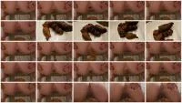 Scat Gaper (Lady Tsunam) 3 February 2026 [HD 720p] 52.5 MB