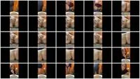 Workplace Poop Break (Amateur, Defecation) 12 February 2026 [FullHD 1080p] 293 MB