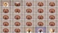 My WC Day 2 (Spain, Toilet Slavery) 24 February 2026 [FullHD 1080p] 257 MB