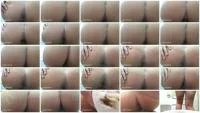 Shitting Girl 100 (Defecation, Scat Wife) 12 March 2026 [SD] 13.3 MB