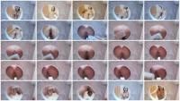 Preparando Tu Scat (Spain, Toilet Slavery) 5 March 2026 [HD 720p] 75.1 MB