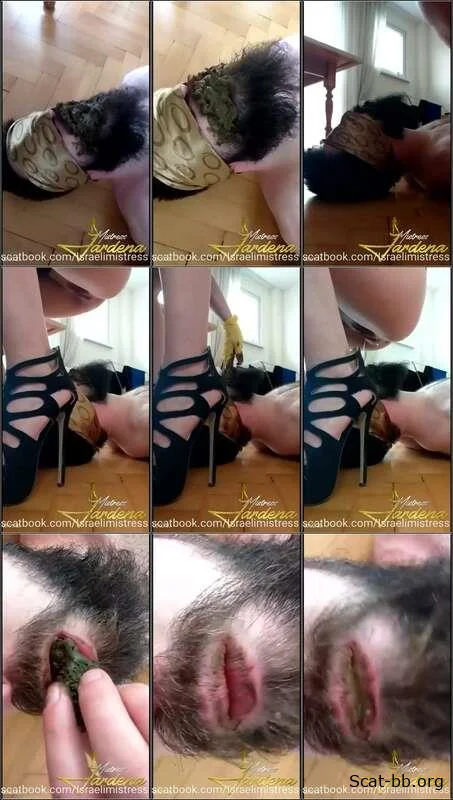 Scat lunch for my dirty slut (Mistress Jardena) 15 April 2026 [SiteRip] 32 MB
