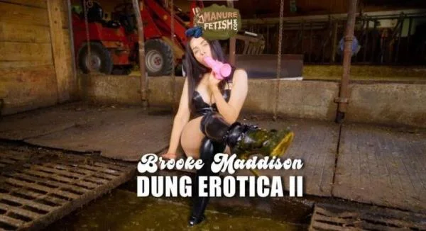 Scat Dung Erotica 2 (Cow Shit Fetish) 25 April 2026 [HD 720p] 971.5 MB