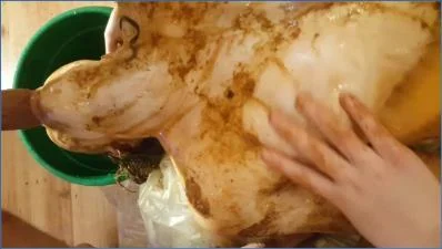 Astra Celestial Enemas, Eats Shit, and Dominates Her Partner in Wild