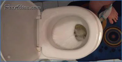 PooAlina's Morning Toilet Grime: Russian Copro with Puke and Pee